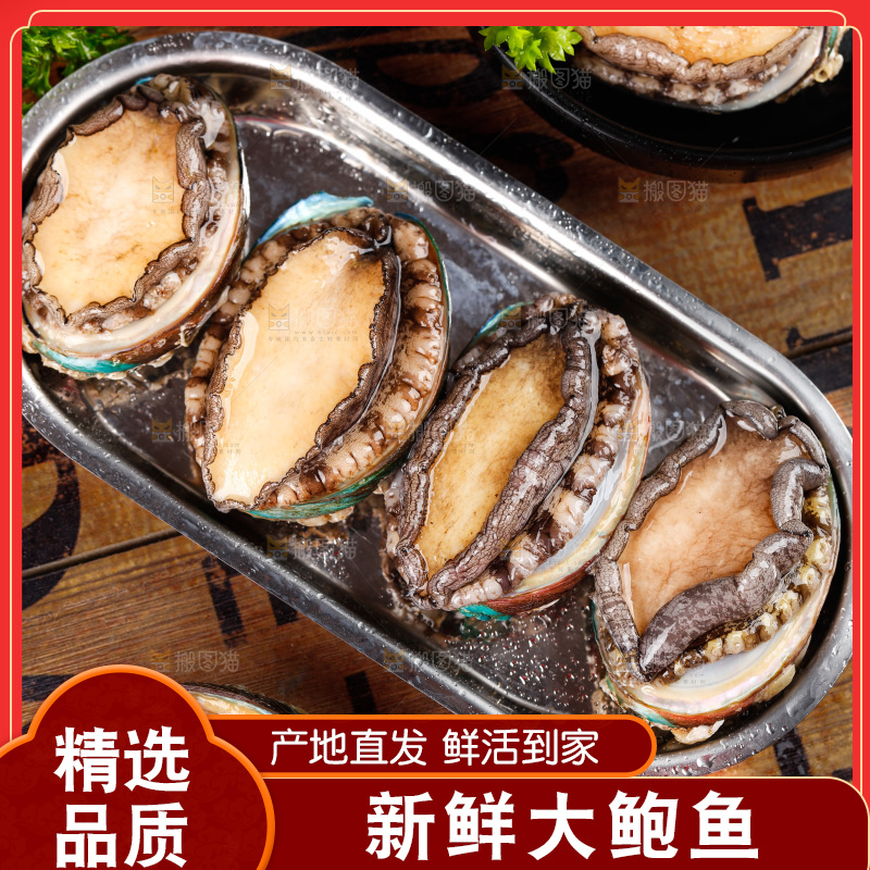 深底上放着一盘鲜鲍鱼