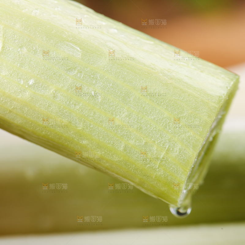 浅底上的铁杆大葱