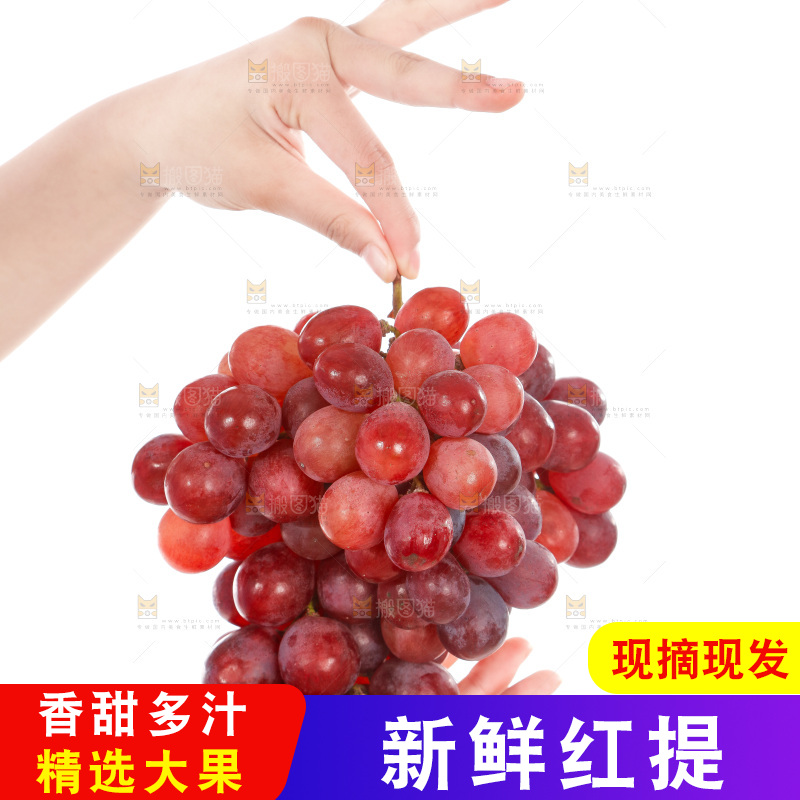 手里捧着新鲜红提