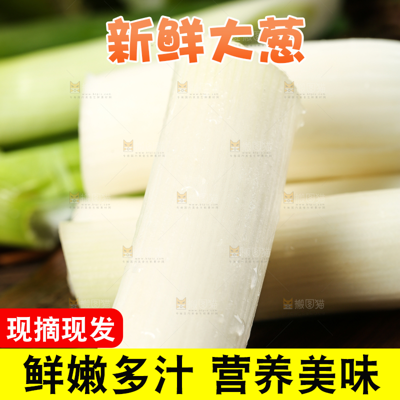 木底上的章丘铁杆大葱