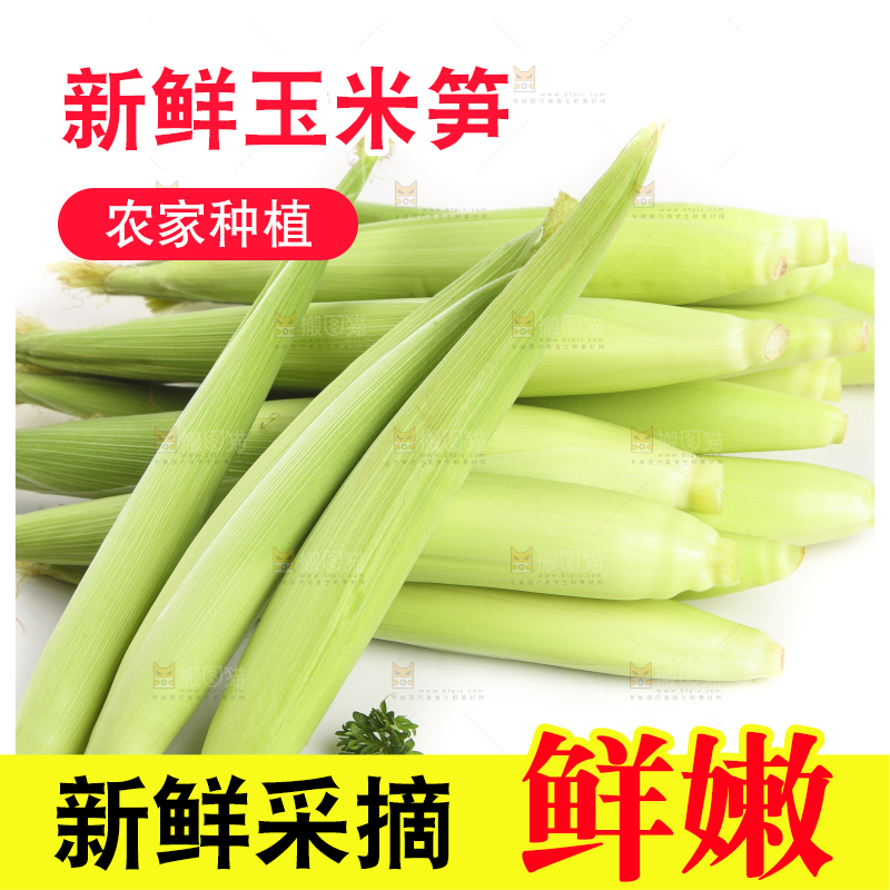 白底上的珍珠笋