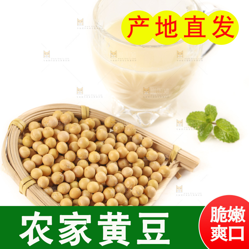 白底上放着东北黄豆