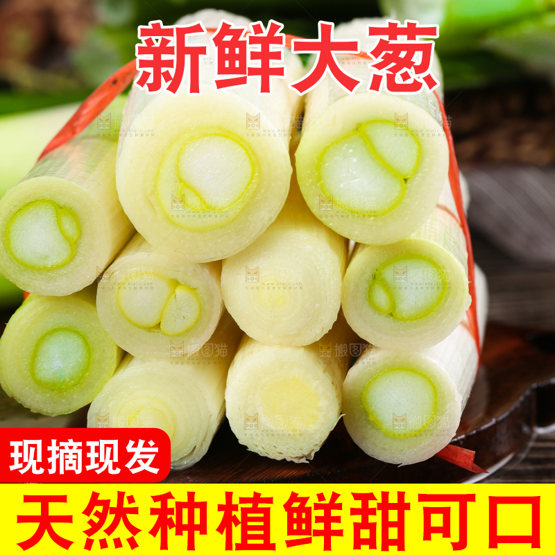 木底上的山东大葱