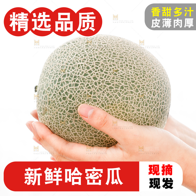 手里捧着哈蜜瓜