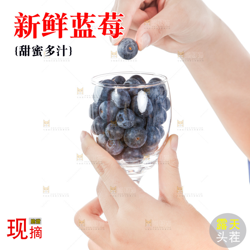 杯子里装着蓝莓