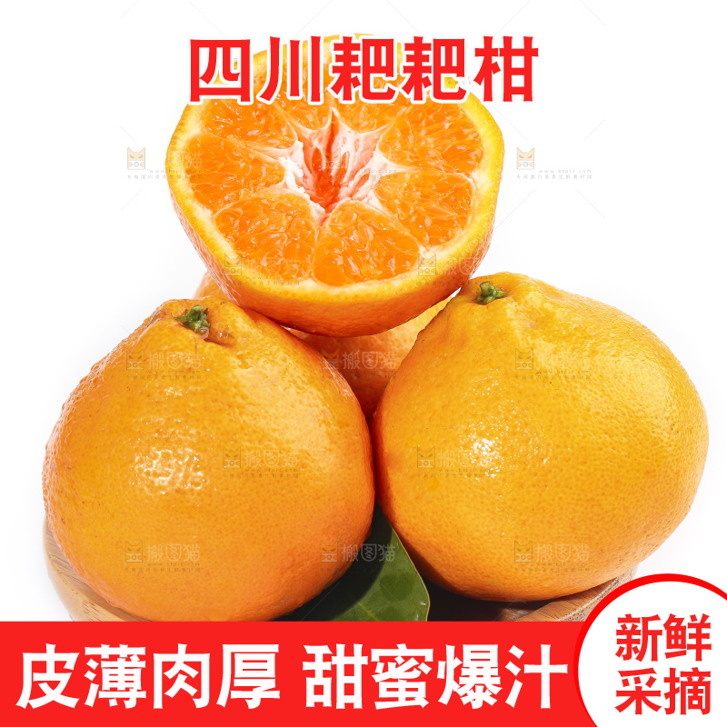 一盘新鲜的耙耙柑放在白底上