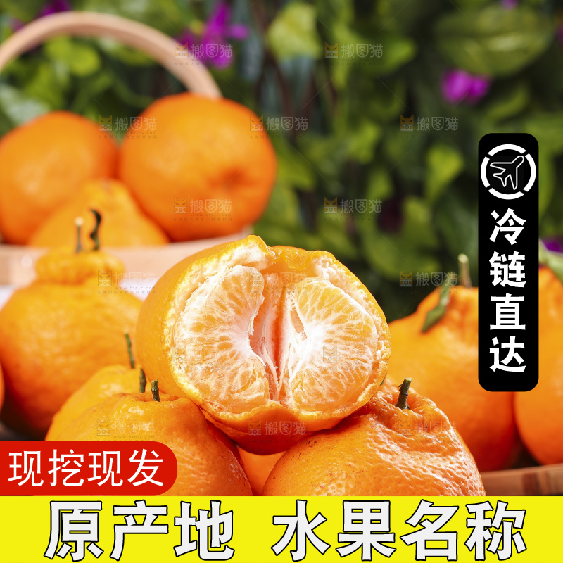 深底上放着四川春见