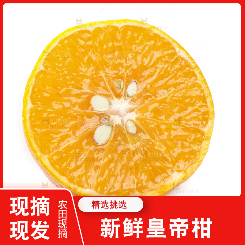 切开的皇帝贡柑放在白底上