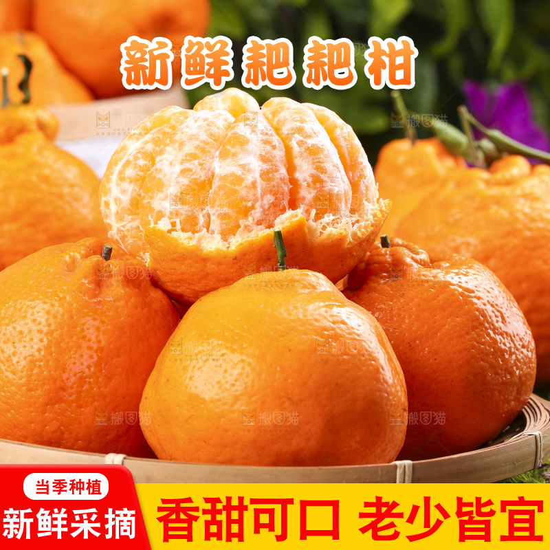 盘子里的四川春见耙耙柑