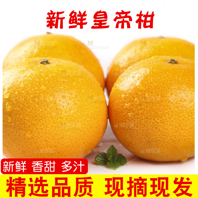 白底上的广西皇帝柑