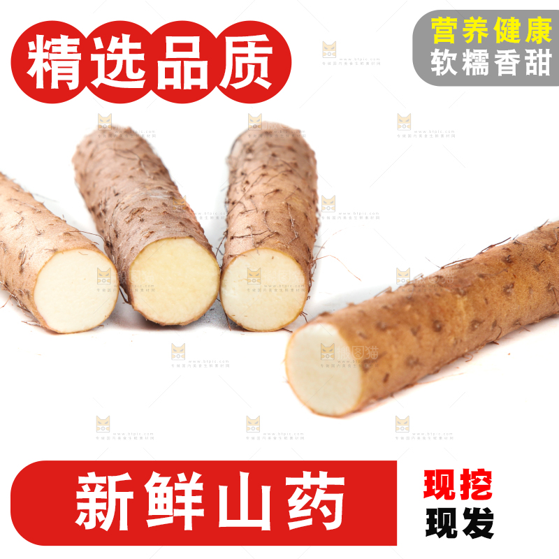 白底上摆放着山药