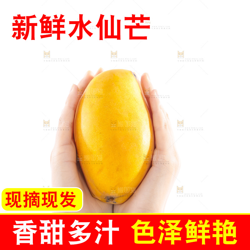 手里拿着芒果