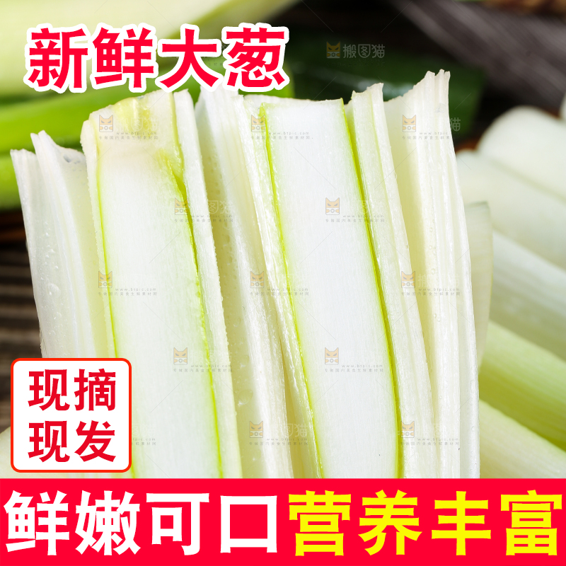 木底上的山东铁杆大葱