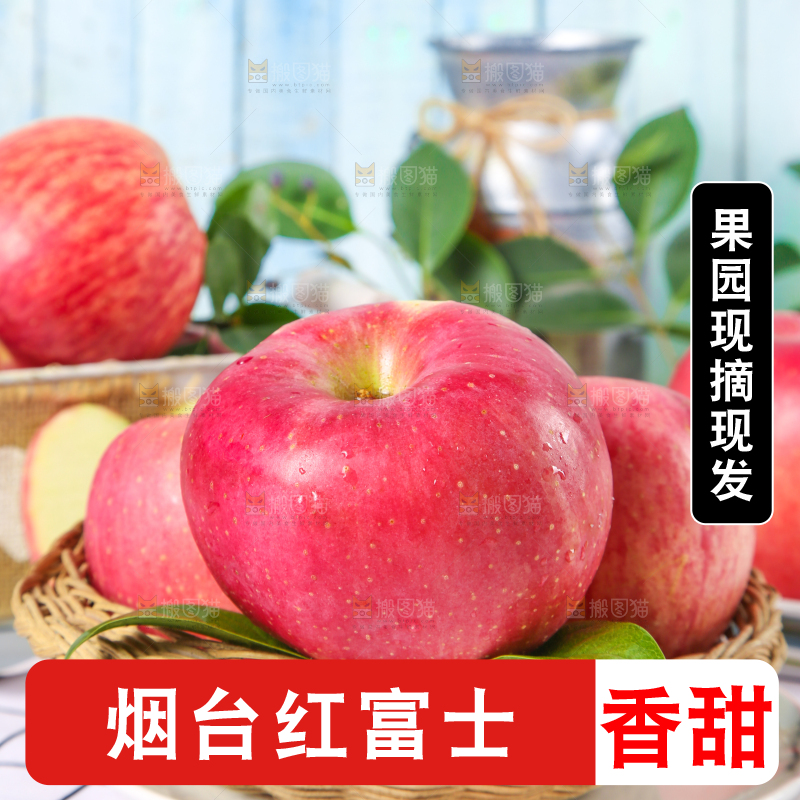 格子布上的山东红富士