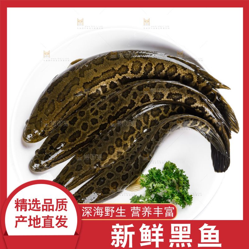 白底上放着一盘黑鱼