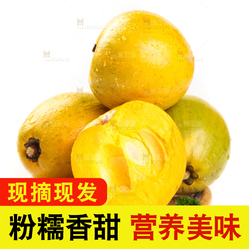 白底上的新鲜鸡蛋果