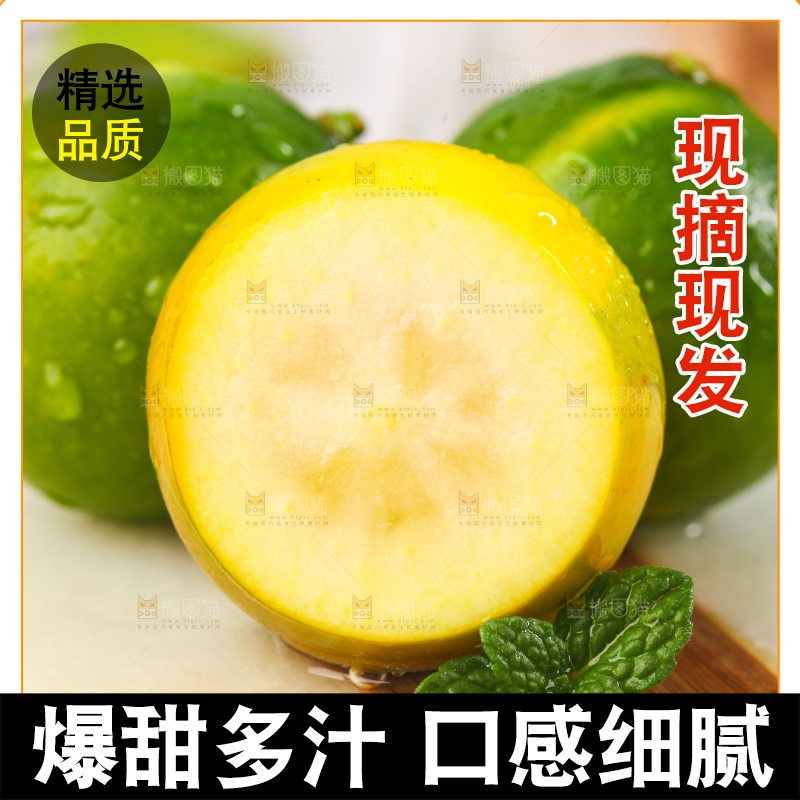 浅底上放着小金桔