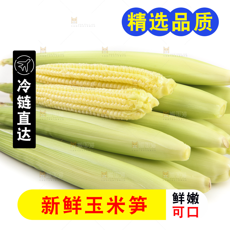 白底上的珍珠笋