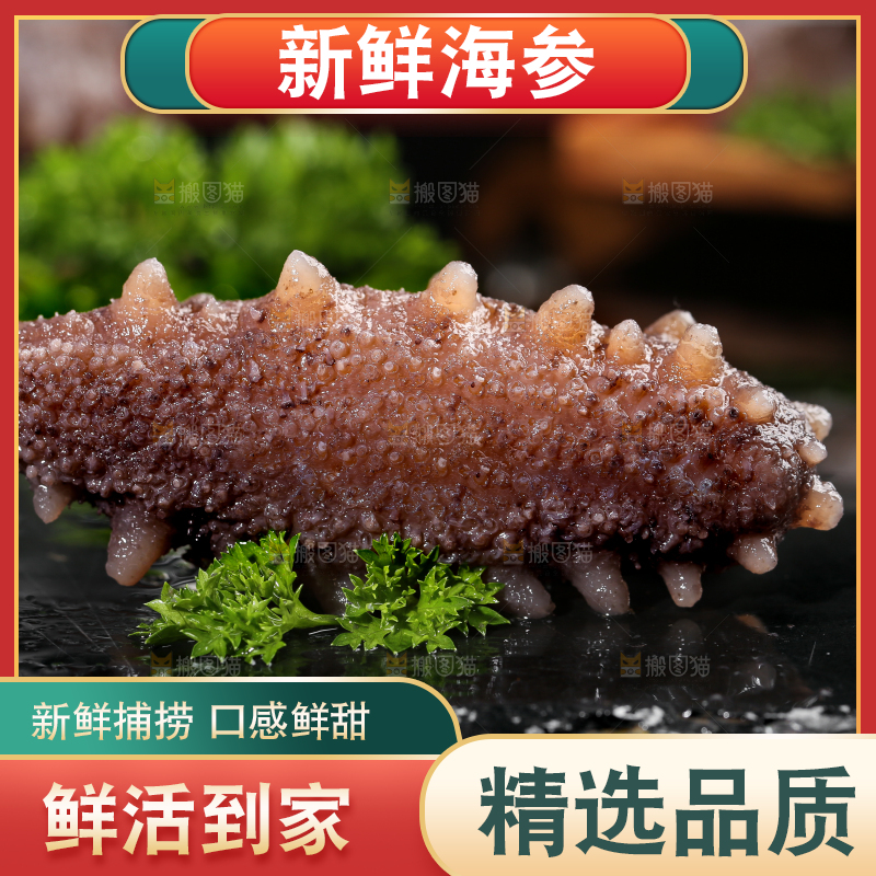黑石板上的海参
