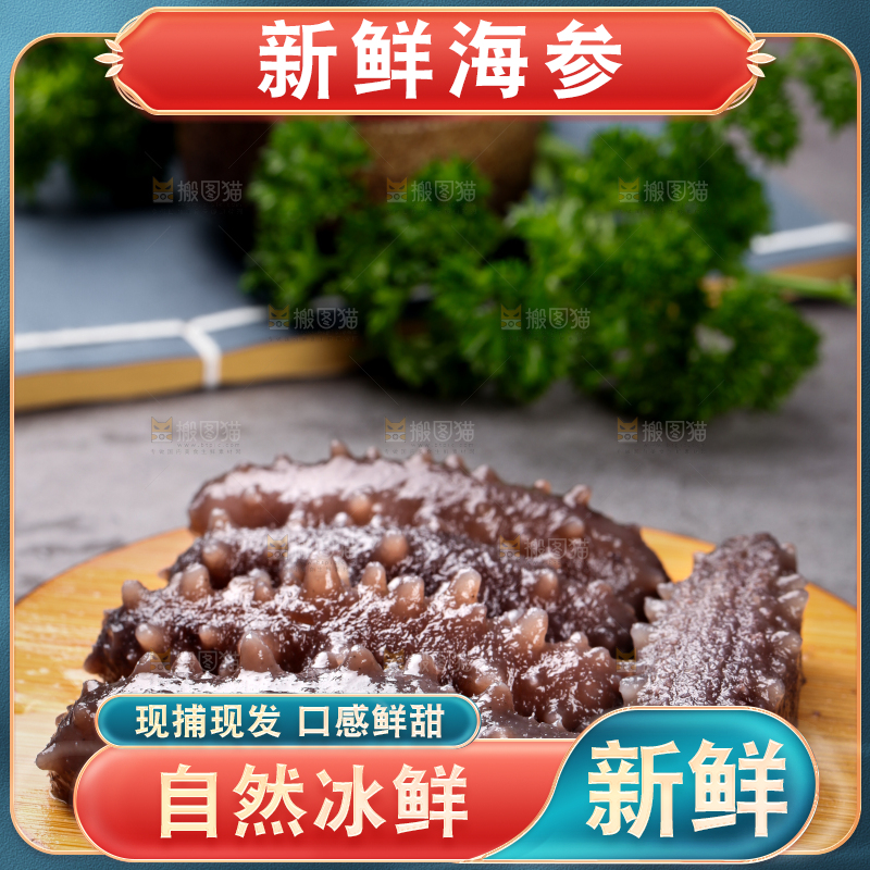 木底上的海参