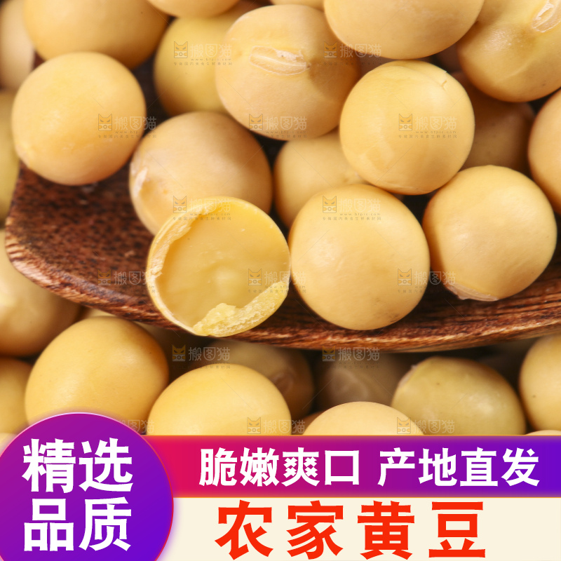 碗里装着农家黄豆