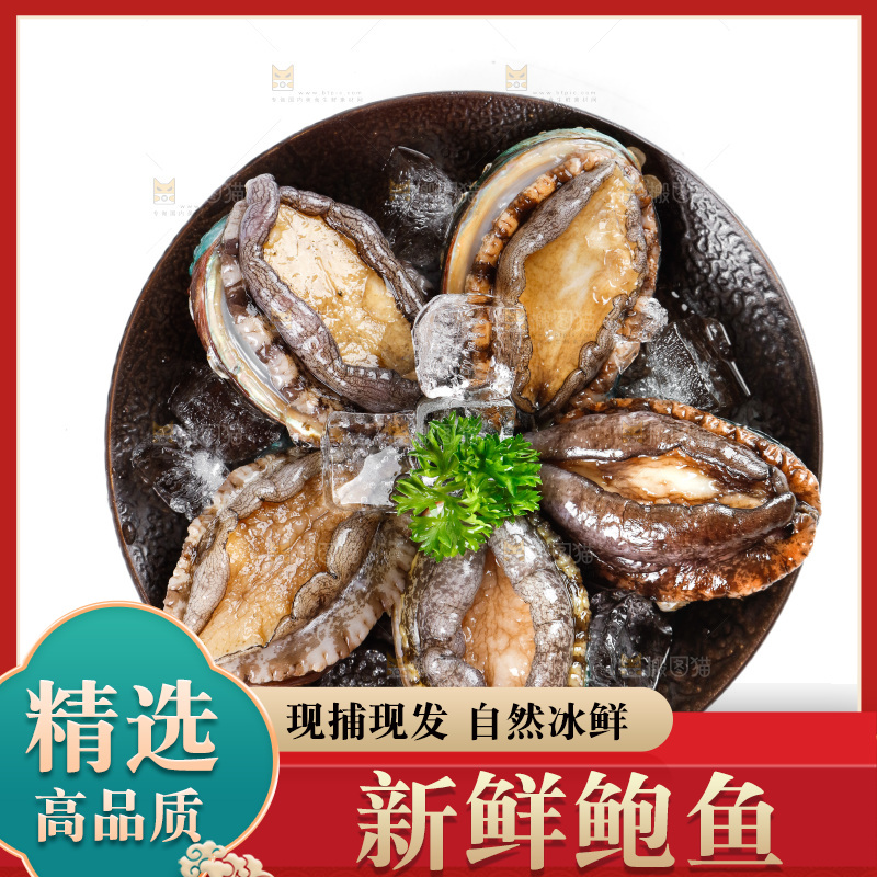 一盘鲍鱼放在白底上