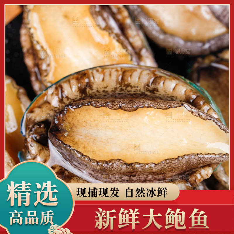 深底上放着一盘鲜鲍鱼