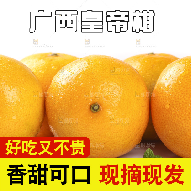 白底上的广西皇帝柑