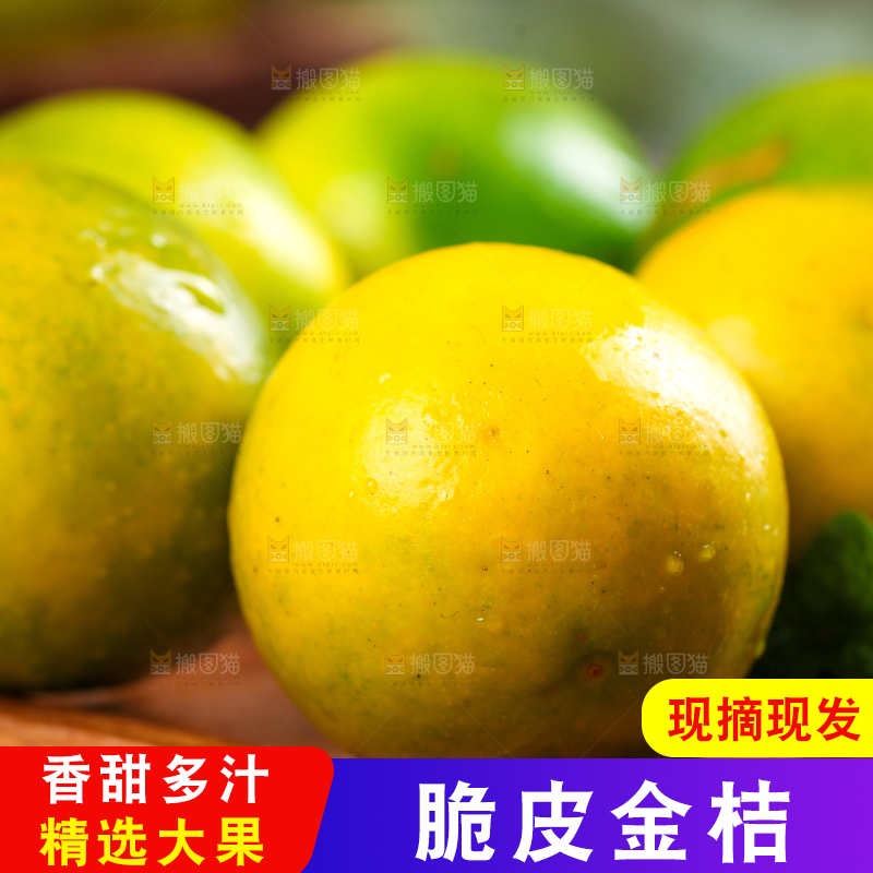 篮子里放着小金桔