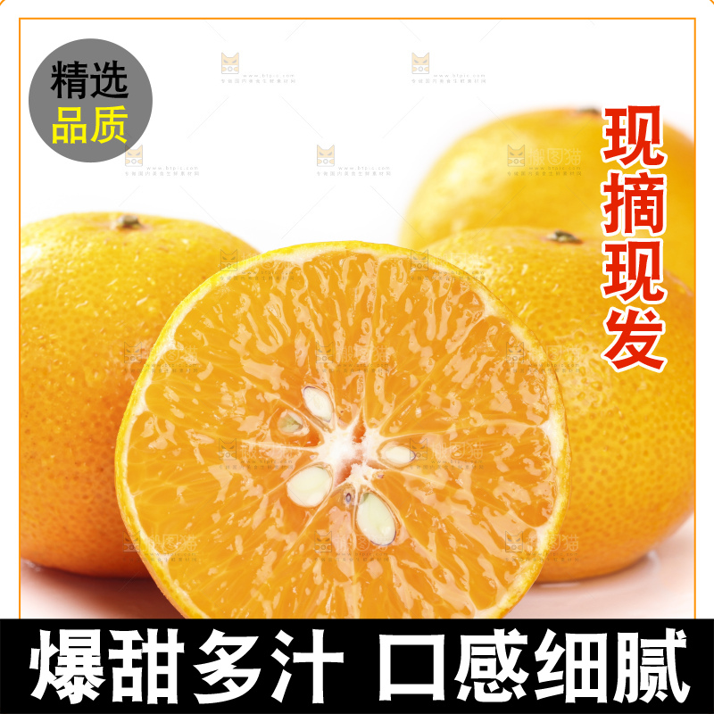 切开的皇帝贡柑放在白底上