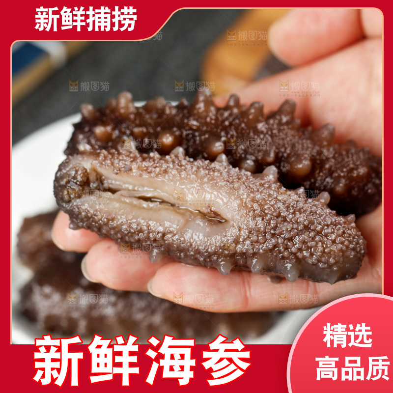 手拿刺参