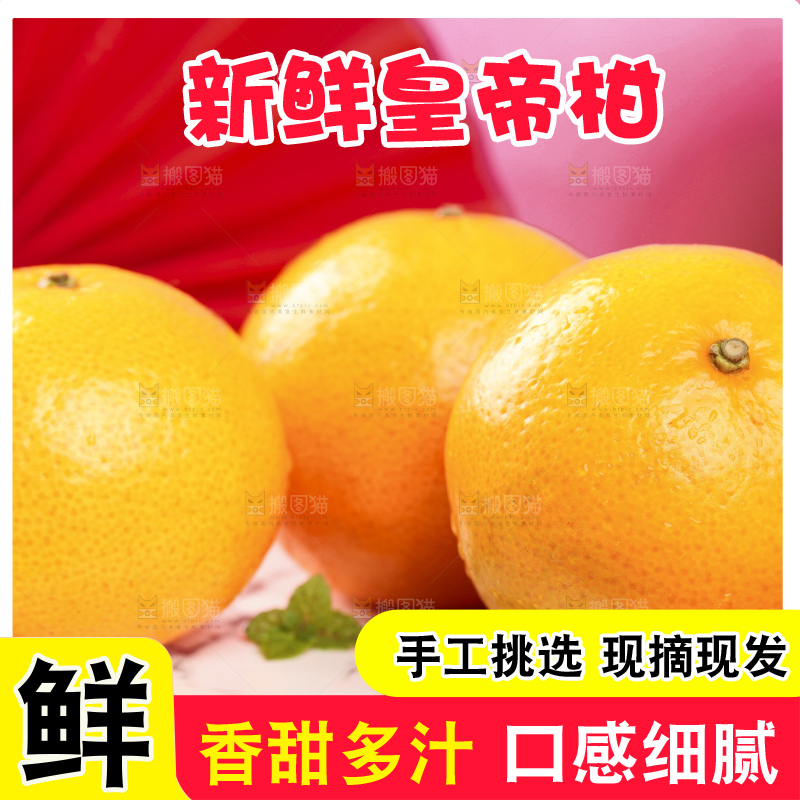 石盘上的广西皇帝柑