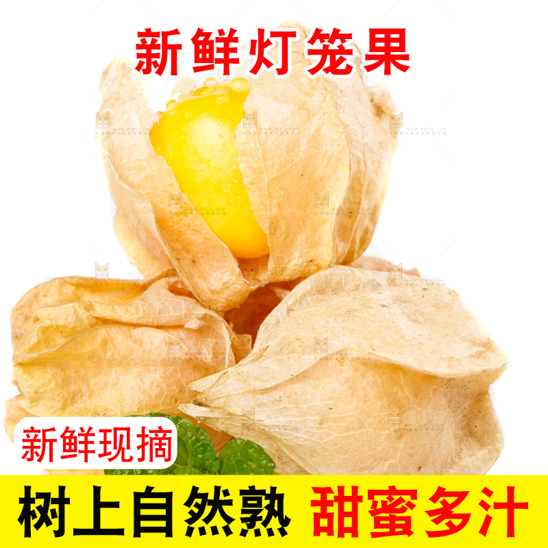 白底上摆放着姑娘果