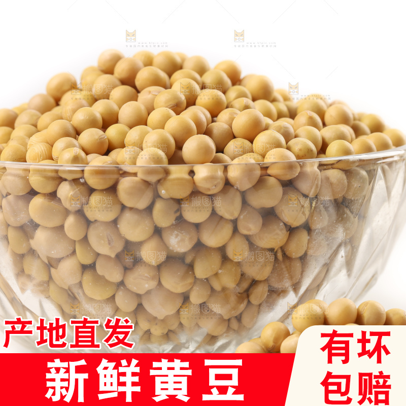 白底上放着东北黄豆