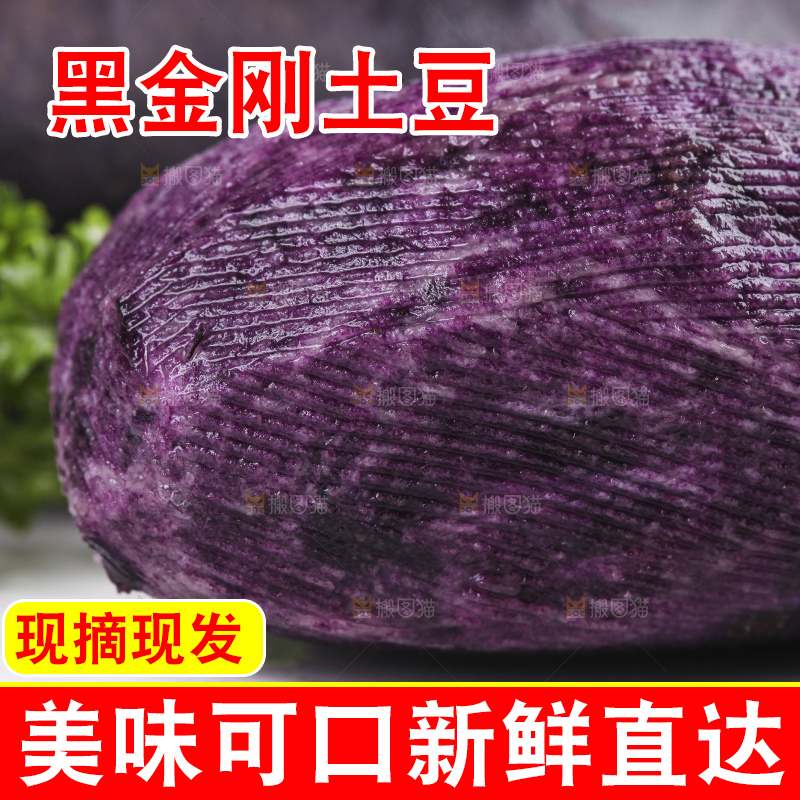 白底上的黑紫马铃薯