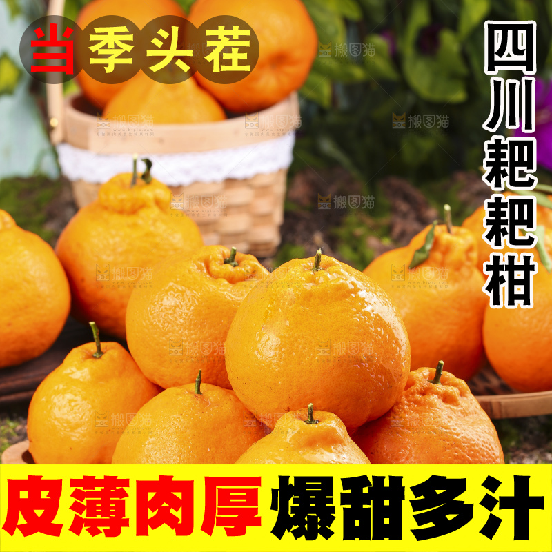 深底上放着四川春见