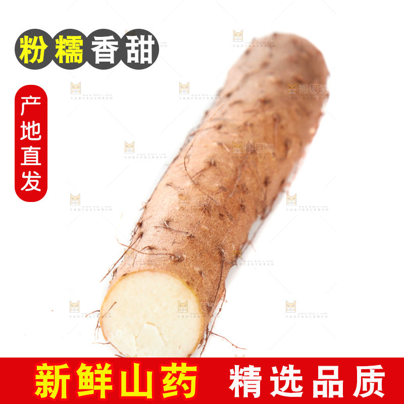 白底上摆放着山药