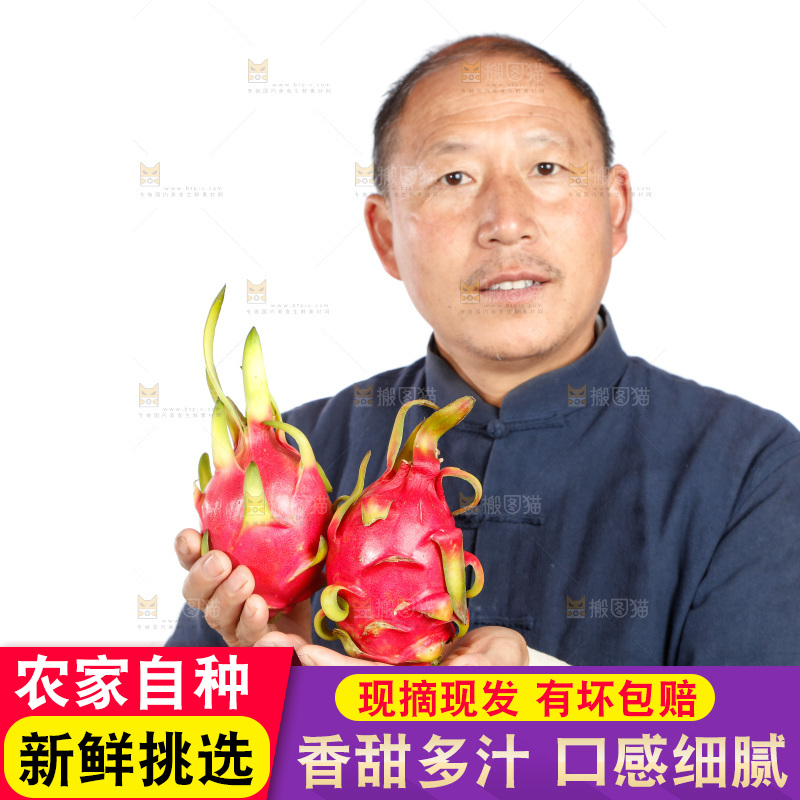 农民手里拿着火龙果