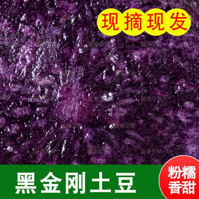 白底上的黑紫马铃薯