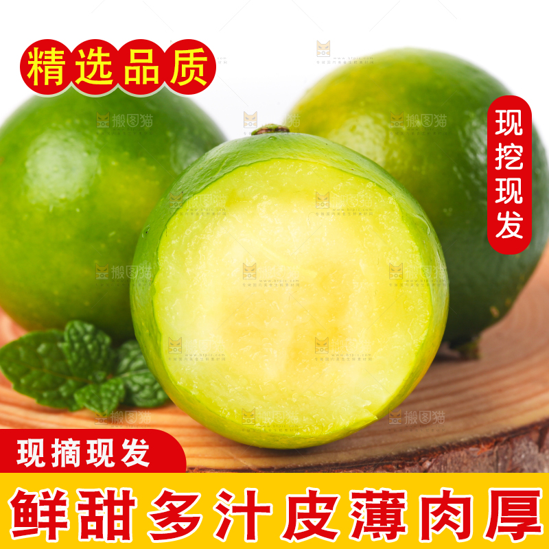 木底上摆放着金橘