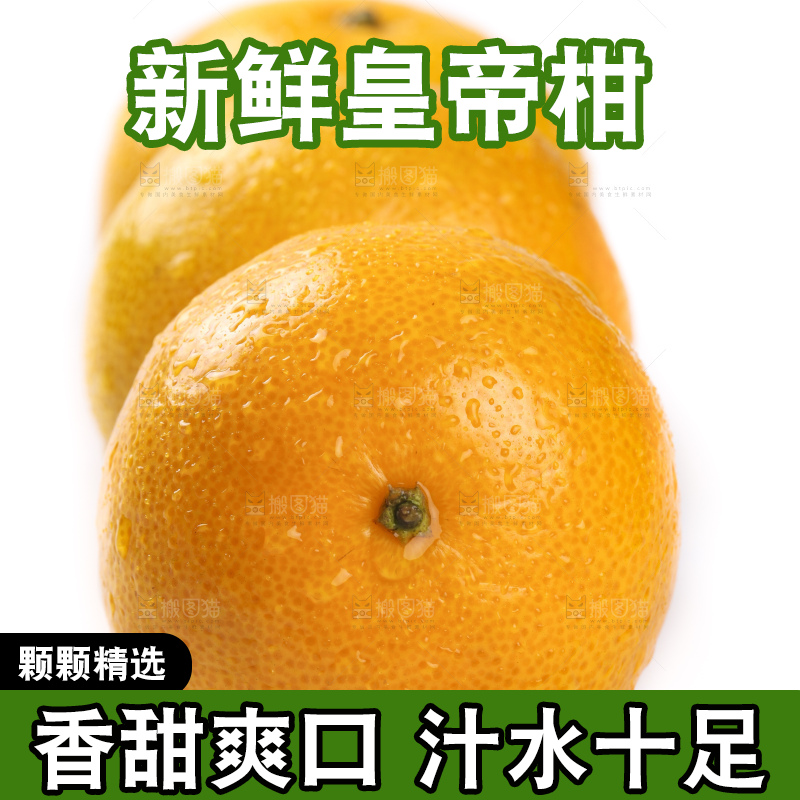 白底上的广西皇帝柑