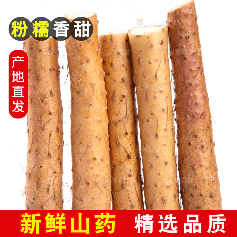 白底上放着淮山药