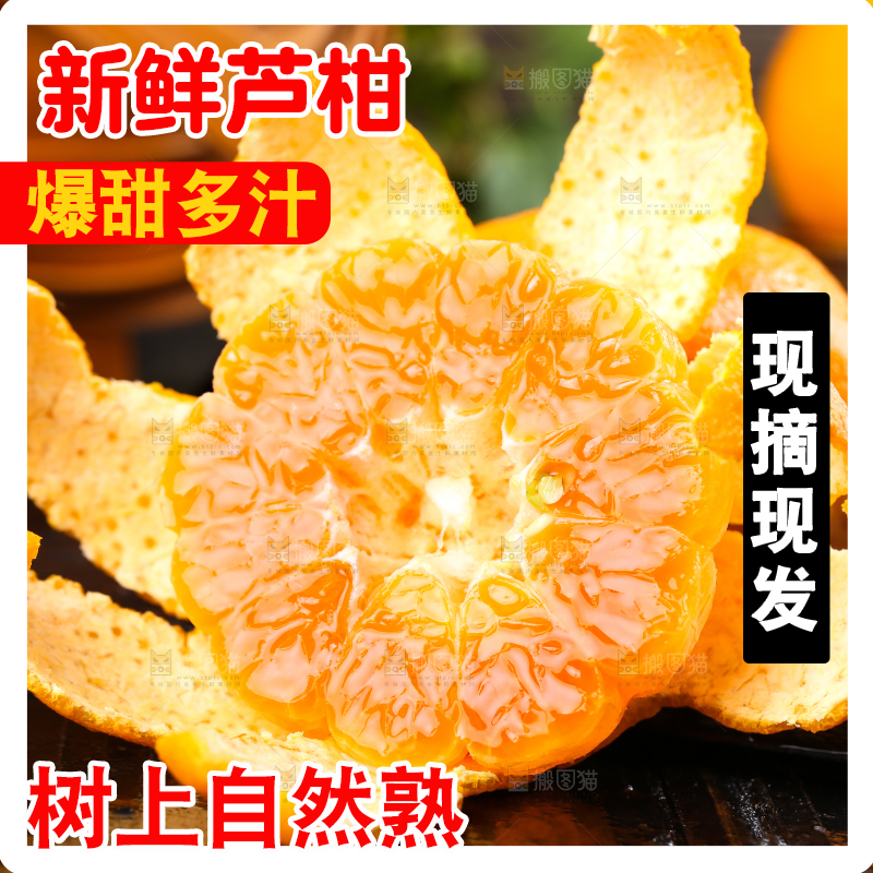石板上放着福建芦柑
