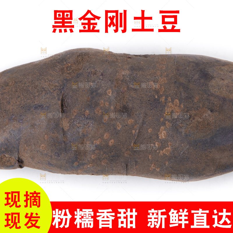 白底上放着黑美人土豆