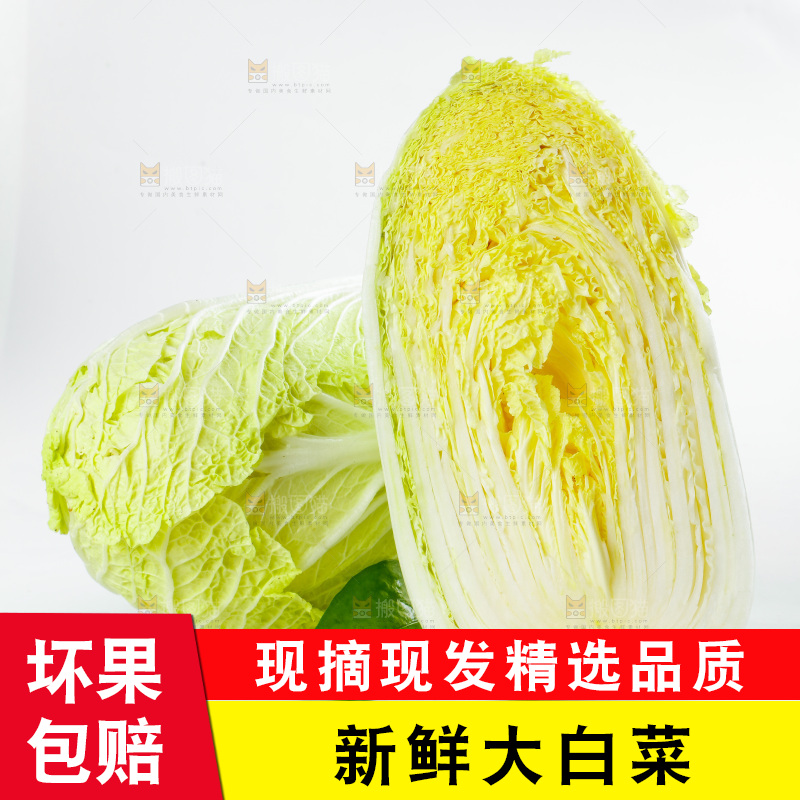 切开的黄心大白菜放在白底上