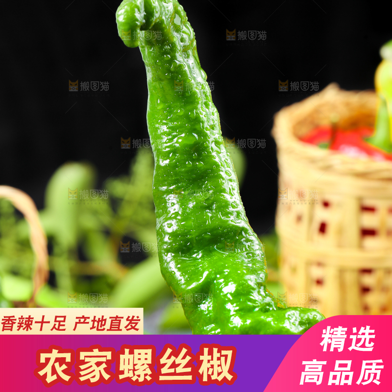 手拿青辣椒