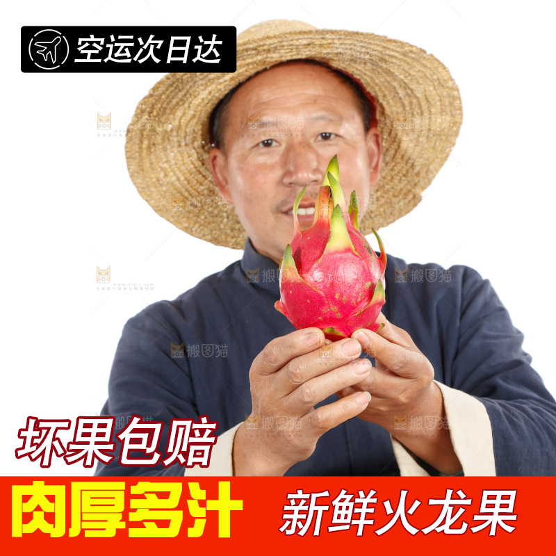 农民手里拿着火龙果