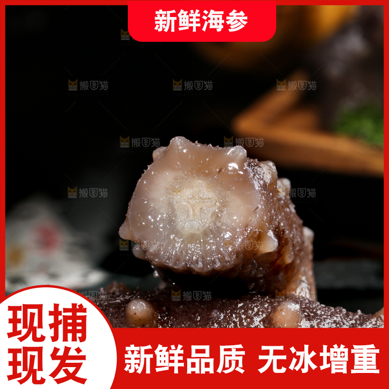 黑石板上的海参
