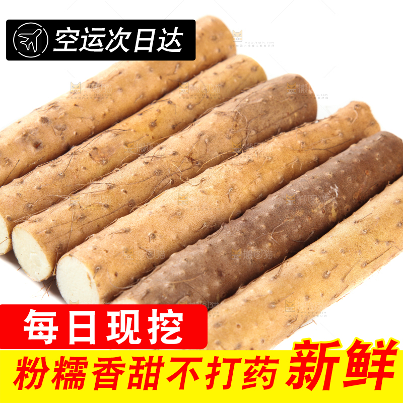 白底上摆放着山药