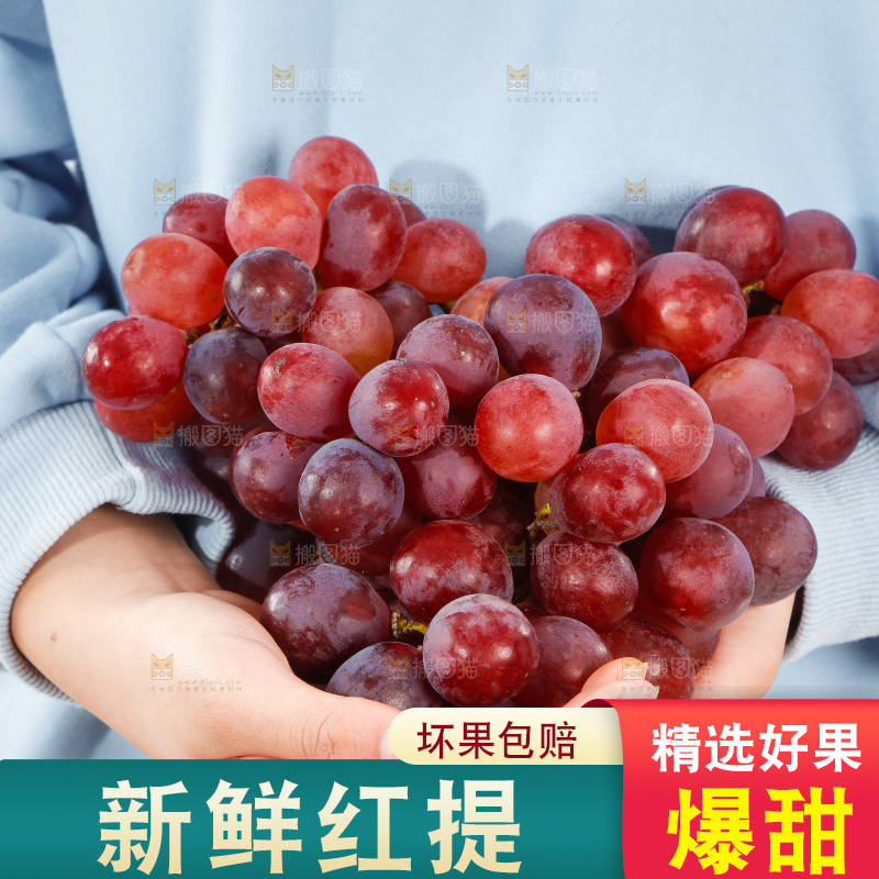 手里捧着新鲜红提